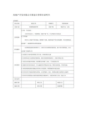 房地产开发有限公司策划主管职位说明书.docx