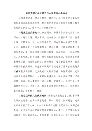 民营企业党委书记《学习贯彻中央经济》工作会议精神.docx