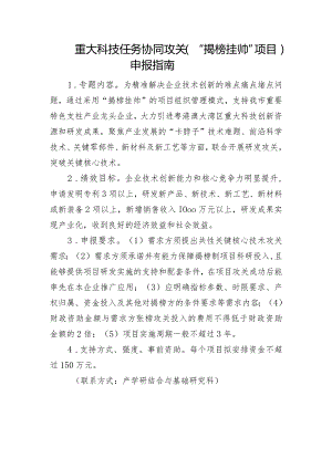 重大科技任务协同攻关“揭榜挂帅”项目申报指南.docx