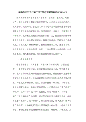 某县办公室主任第二批主题教育党性剖析材料2023.docx