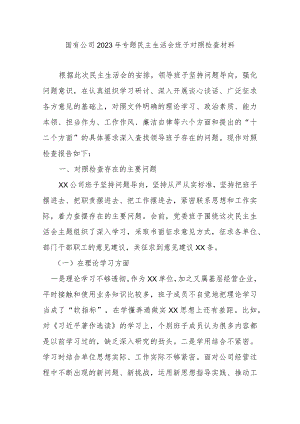国有公司2023年专题民主生活会班子对照检查材料.docx
