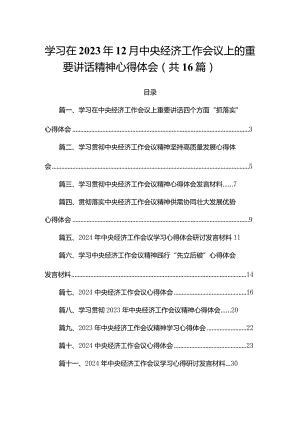 学习在2023年12月中央经济工作会议上的重要讲话精神心得体会（共16篇）.docx