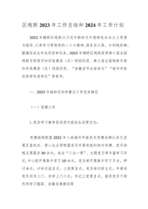 区残联2023年工作总结和2024年工作计划.docx
