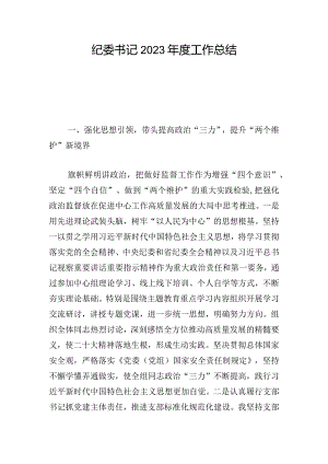 纪委书记2023年度工作总结.docx
