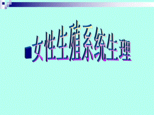 医院妇科培训资料女性生殖系统生理培训PPT.ppt