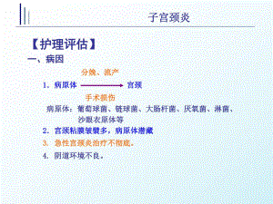 子宫颈炎.ppt