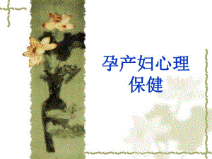 孕产妇心理保健.ppt