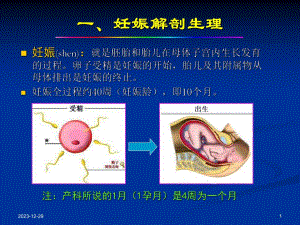 产科正常超声检查与诊断.ppt