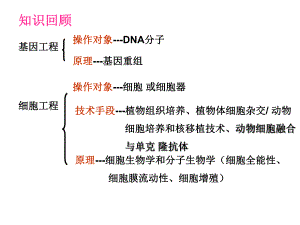 3.1体内受精和早期胚胎发育.ppt