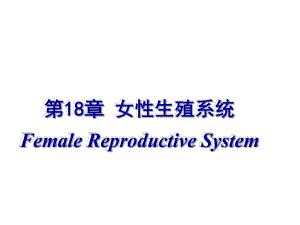18女性生殖系统.ppt