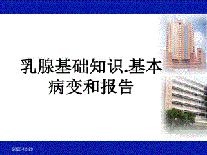 乳腺基础.ppt.ppt