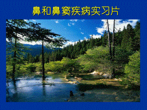 鼻窦疾病实习片.ppt