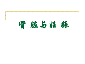 妊娠与肾脏.ppt
