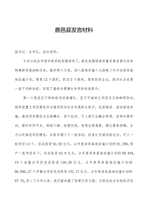 鹿邑县发言材料.docx