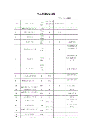 抢工项目攻坚日报.docx