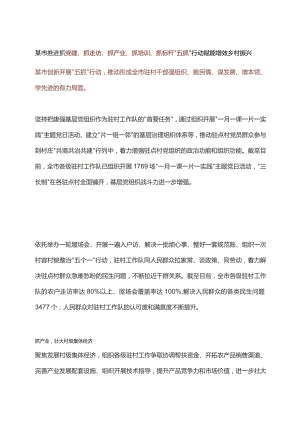 某市推进抓党建、抓走访、抓产业、抓培训、抓标杆“五抓”行动 赋能增效乡村振兴.docx