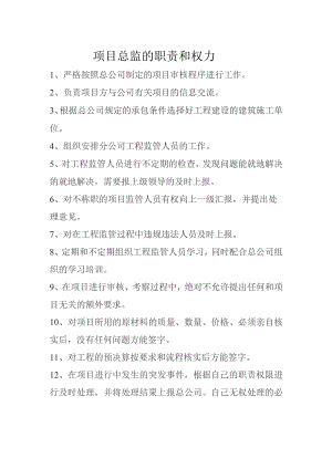 项目总监职责和权力.docx