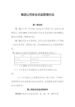 集团公司安全总监管理办法.docx