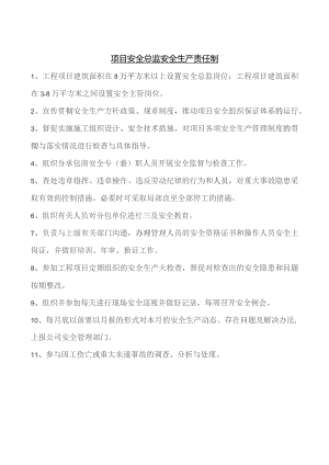 项目安全总监安全生产责任制范文.docx