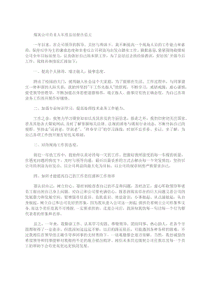 煤炭公司负责人年度总结报告范文.docx