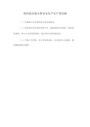 项目综合部主管安全生产生产责任制.docx