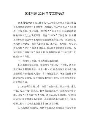 区水利局2024年度工作要点.docx