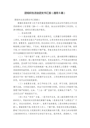 团组织生活会团支书汇报(通用5篇).docx