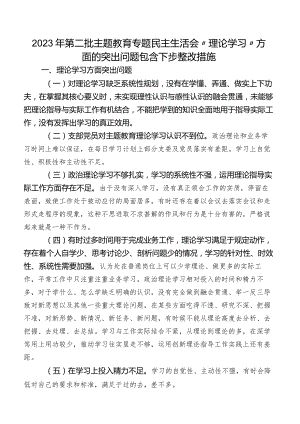 2023年第二批学习教育专题民主生活会“理论学习”方面的突出问题包含下步整改措施.docx