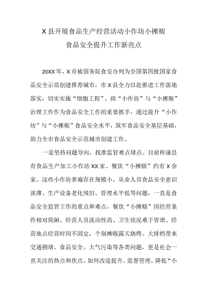 X县开展食品生产经营活动小作坊小摊贩食品安全提升工作新亮点.docx