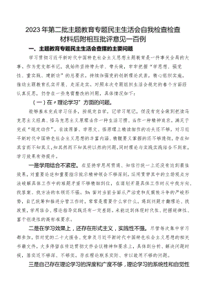 2023年第二批集中教育专题民主生活会自我检查检查材料后附相互批评意见一百例.docx