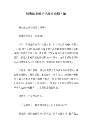 新当选支部书记发言提纲5篇.docx