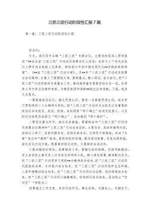 三抓三促行动阶段性汇报7篇.docx
