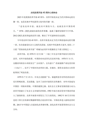 2023庆祝改革开放45周年心得体会二.docx
