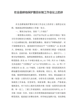 在全县耕地保护暨田长制工作会议上的讲话稿三篇.docx