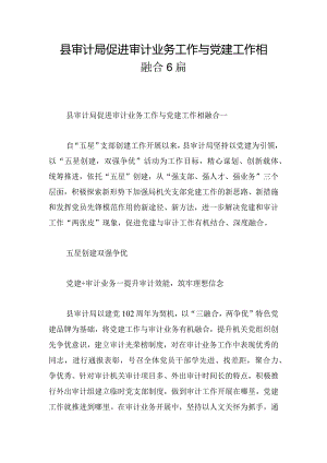 县审计局促进审计业务工作与党建工作相融合6篇.docx