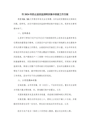 市2024年防止返贫监测帮扶集中排查工作方案.docx