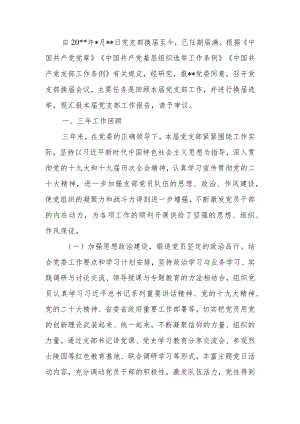 党支部换届工作总结.docx