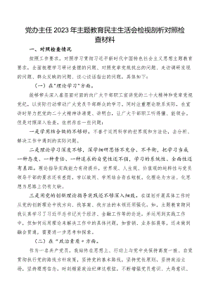 党办主任2023年集中教育民主生活会检视剖析对照检查材料.docx