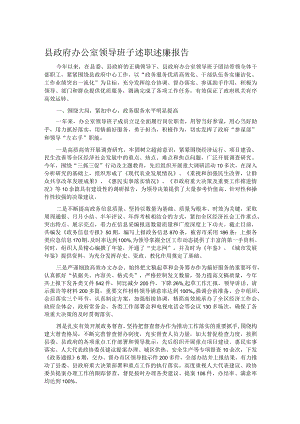 县政府办公室领导班子述职述廉报告.docx