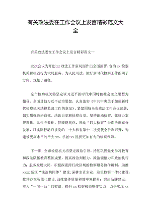 有关政法委在工作会议上发言精彩范文大全.docx
