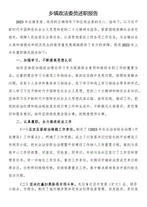 乡镇政法委员述职报告.docx