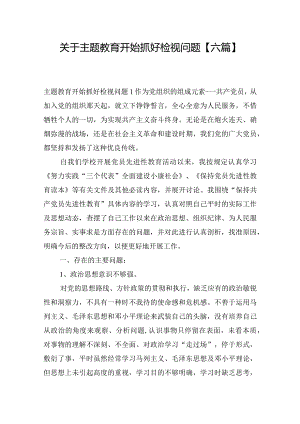 关于主题教育开始抓好检视问题【六篇】.docx