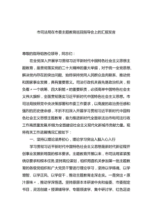 市司法局在市委主题教育巡回指导会上的汇报发言.docx