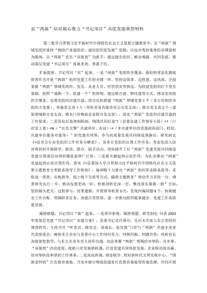 县“两新”结对凝心聚力 “书记项目”共促发展典型材料.docx