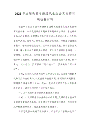 2023年主题教育 专题组织生活会党支部对照检查材料.docx