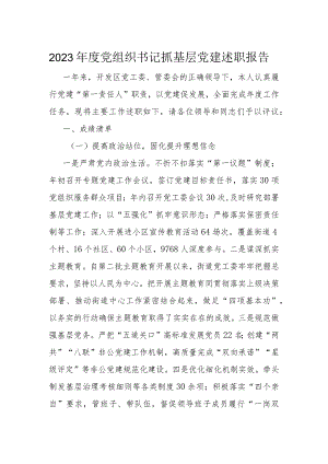 2023年度党组织书记抓基层党建述职报告.docx