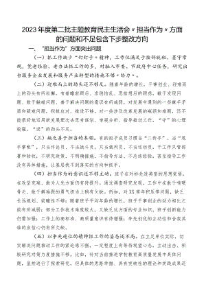 2023年度第二批集中教育民主生活会“担当作为”方面的问题和不足包含下步整改方向.docx