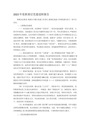2023年度抓基层党建述职报告.docx