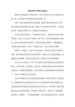 庆祝改革开放45周年心得体会六.docx