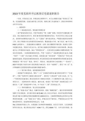 2023年度党组织书记抓基层党建述职报告.docx